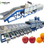 fruit grading machine for round fruit size sorting