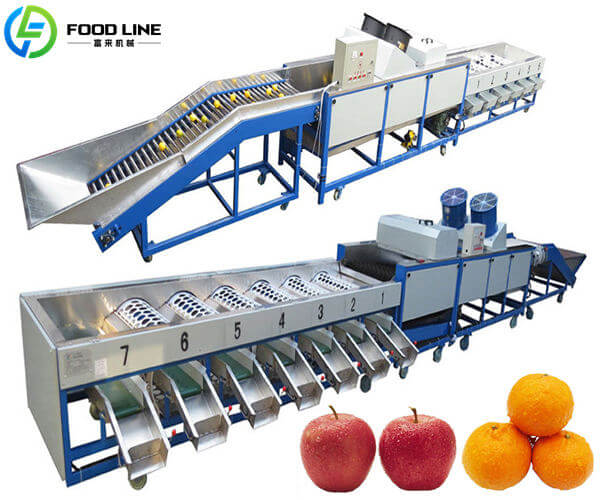 fruit grading machine for round fruit size sorting