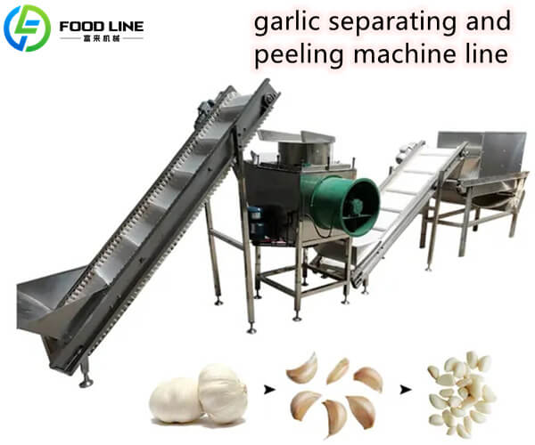garlic separating and peeling machine