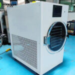 good price small size freeze dryer