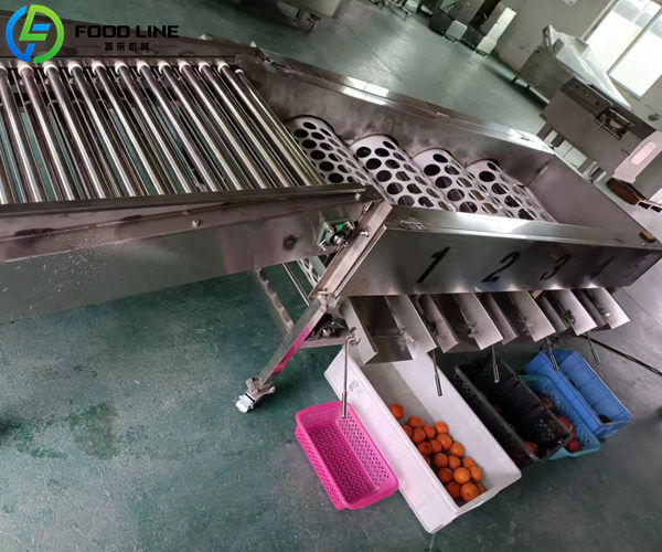 high capacity grading machine for apple orange lemon