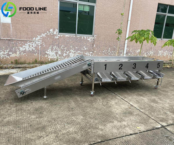 industrial apple sorter with good price