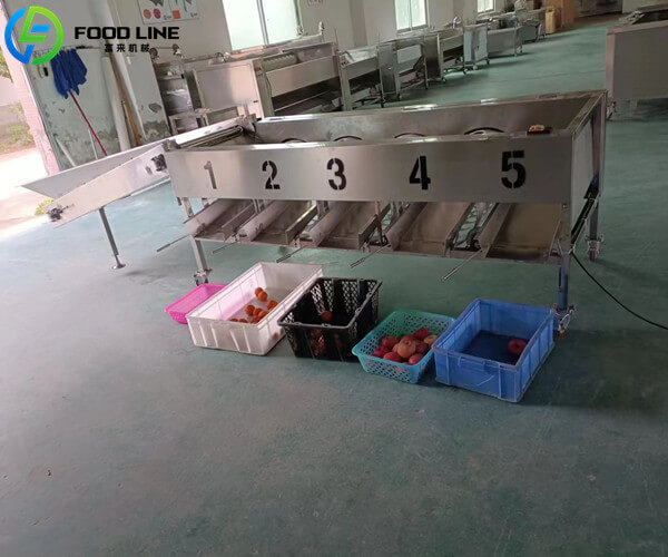 lemon orange apple onion size grading machine