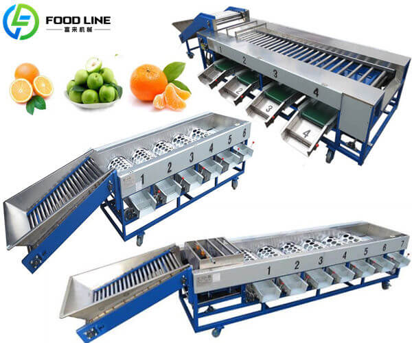 multiple type fruit size sorting machine