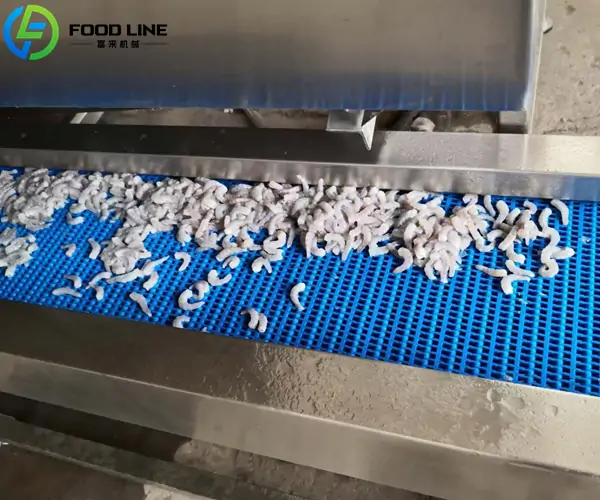peeled shrimp conveyor