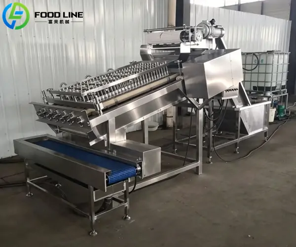 prawn peeling machine for industrial use