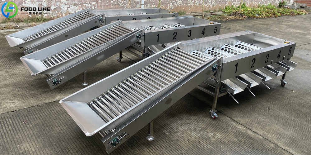 top rated orange size grading machine
