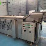 blanching-machine-for-french-fries