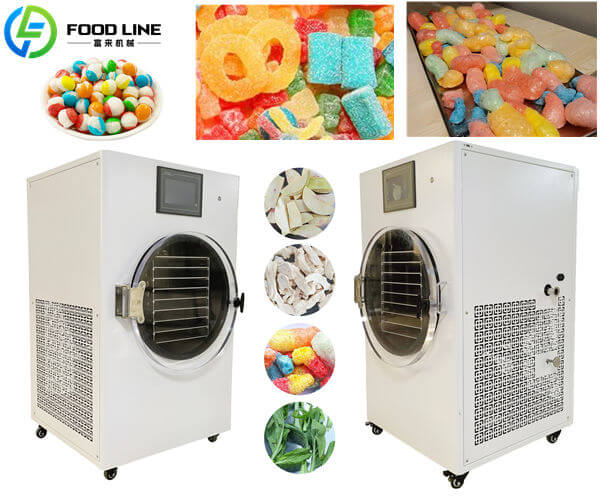 freeze drying machine for candy fruit vegetable