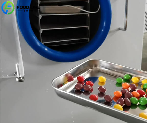 hot sale freeze drying candy machine
