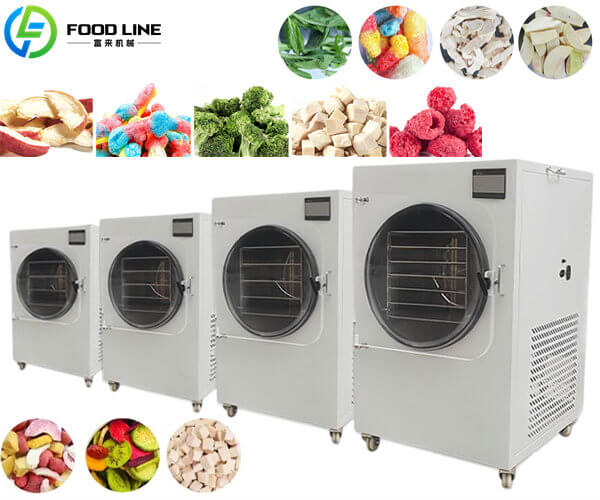 hot sale small freeze dryer