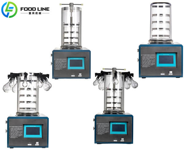 lab mini freeze drying unit
