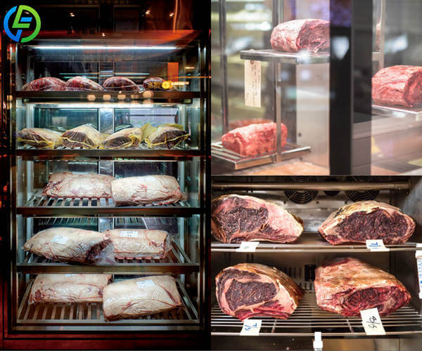 multi functional dry ager cabinet