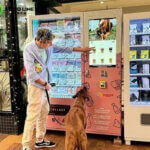 automatic vending machine for dog treats