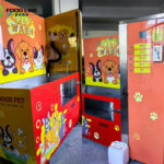 Dog Wash Vending Machine Exported to France custom pet wash machine