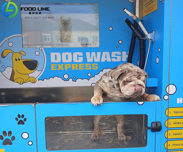 dog wash with adjustable water temperature