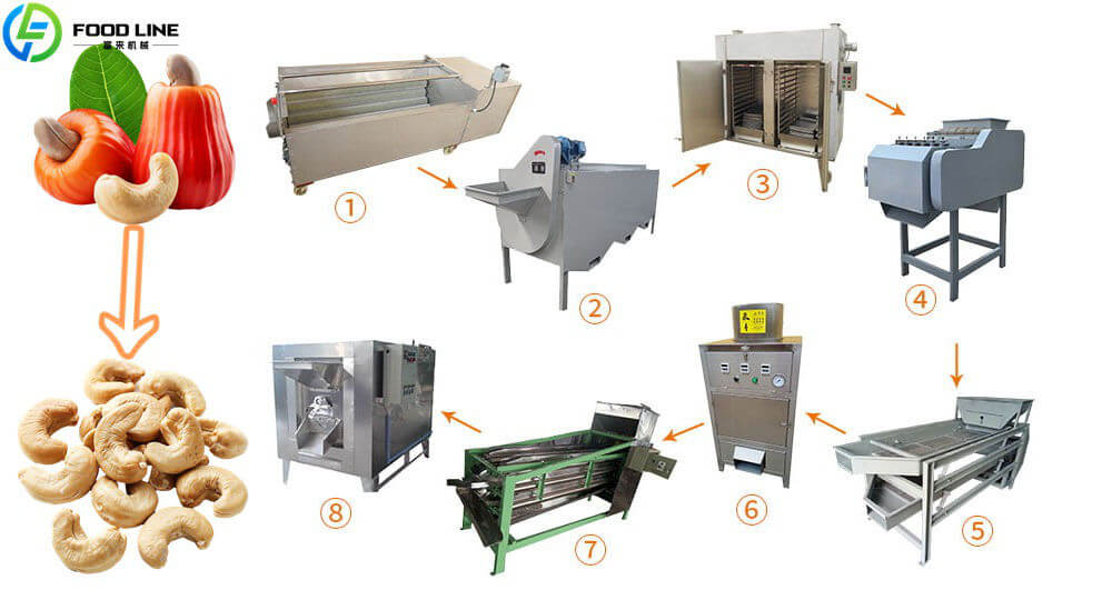 cashew nut processing machine