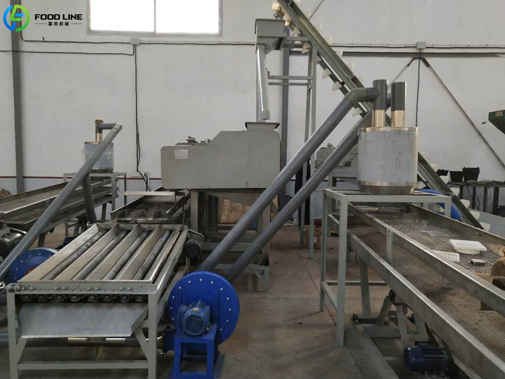 cashew nut processing plant