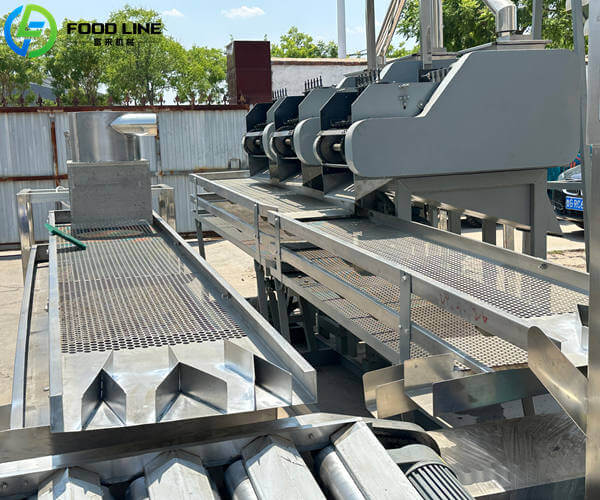 cashew shell kernel separator