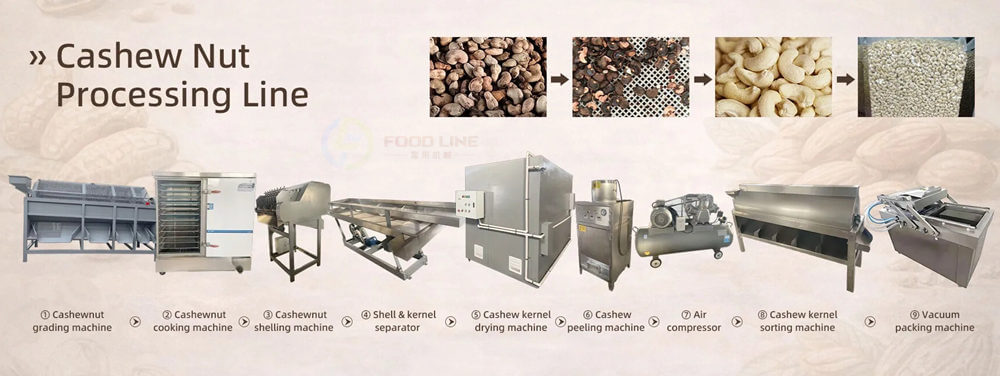 complete cashew nut processing line