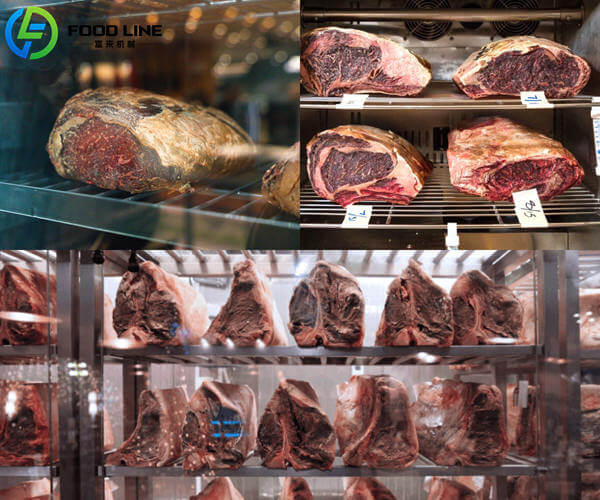 dry aged fridge for beef lamb chicken