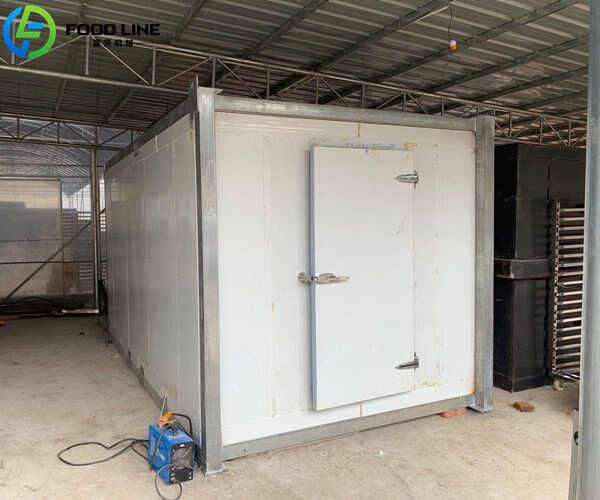 factory price container cold room