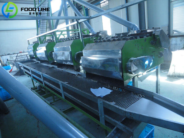 industrial large scale cashew processing line