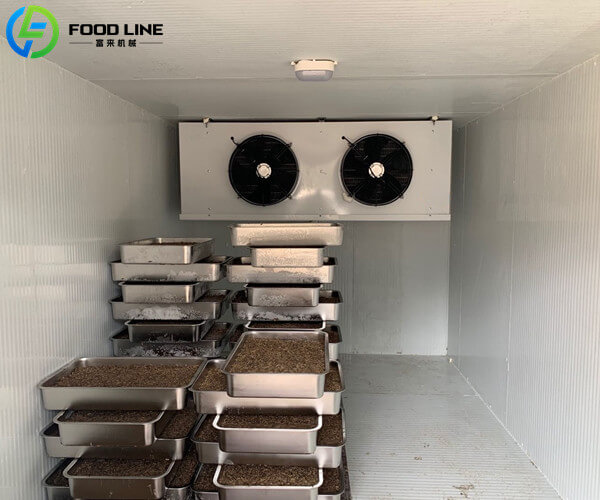 large storage capacity refrigerated container for fruits meats medicines