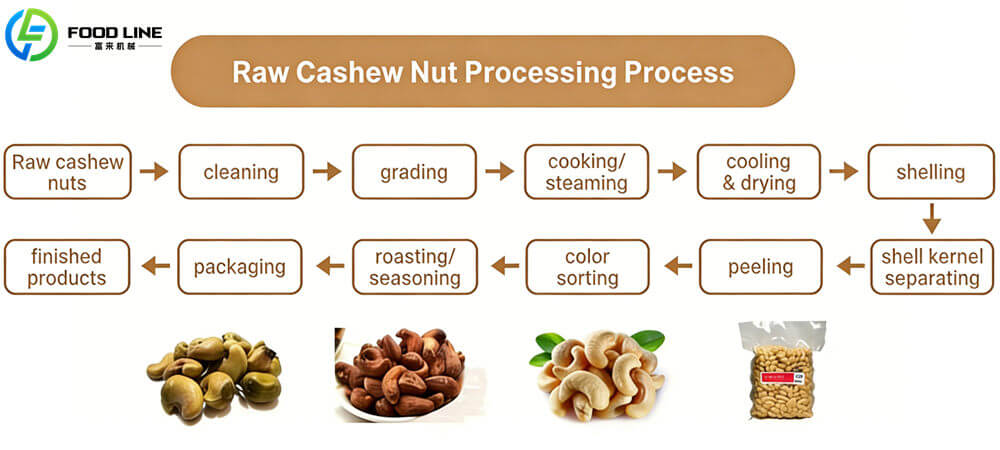 raw cashew nut processing