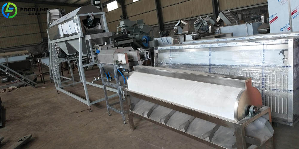 cashew nuts shelling peeling roasting line
