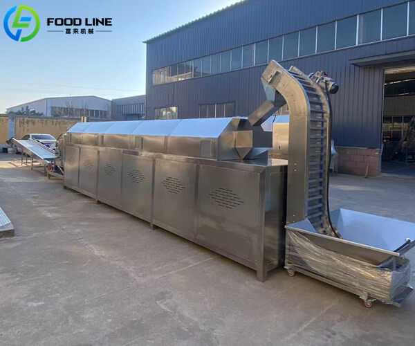 continuous roaster for peanuts almonds cashews