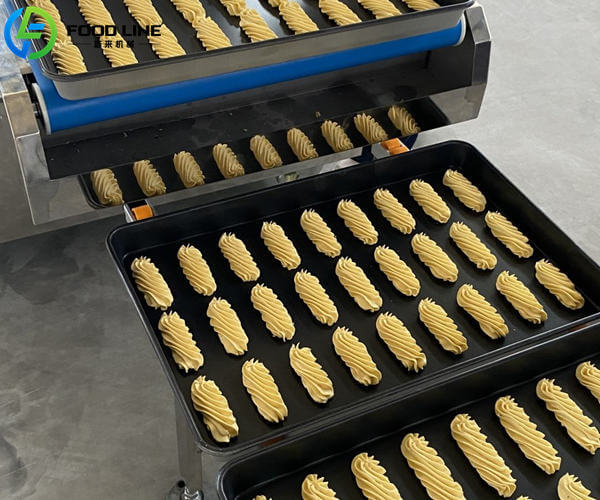 cookies to be placed in the oven