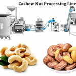 develop a profitable cashew processing business