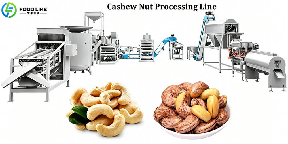 develop a profitable cashew processing business