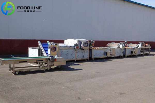 full continuous pasteurization line
