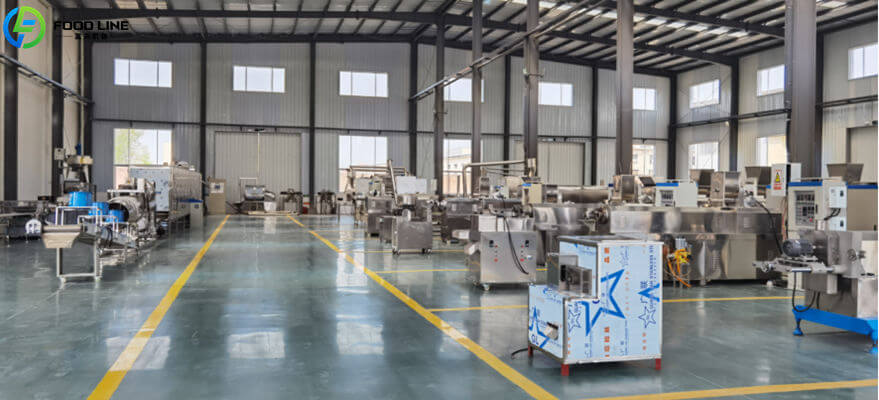 foodline food processing equipment manufacturer in china