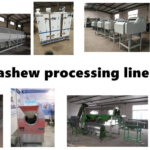 Foodline Exported 200kg/h Cashew Processing Equipment Line to Ghana 200kg per hour cashew processing equipment line