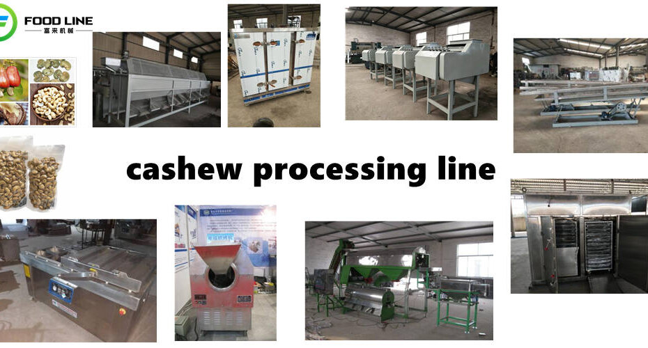 200kg per hour cashew processing equipment line