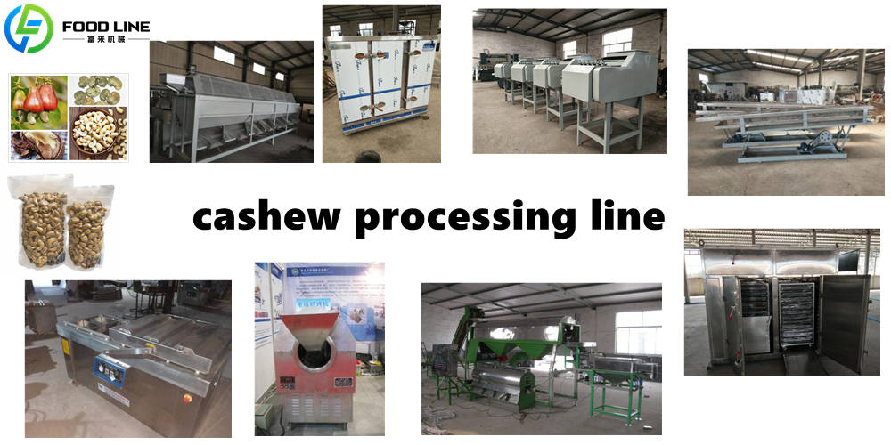 200kg per hour cashew processing equipment line