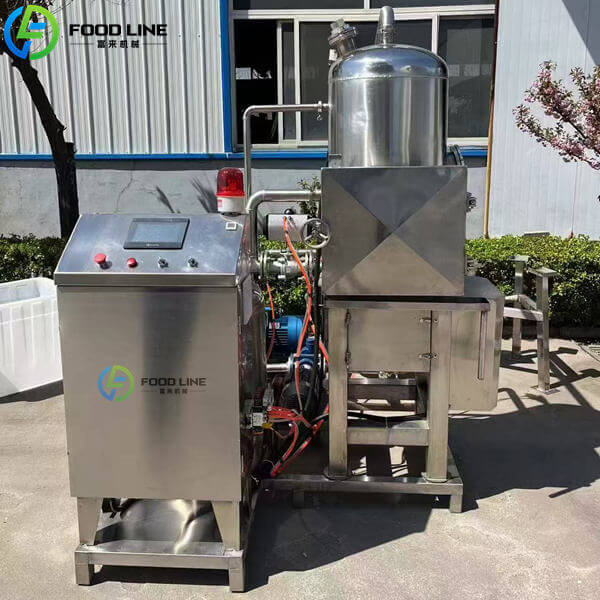 vacuum food fryer machine for sale