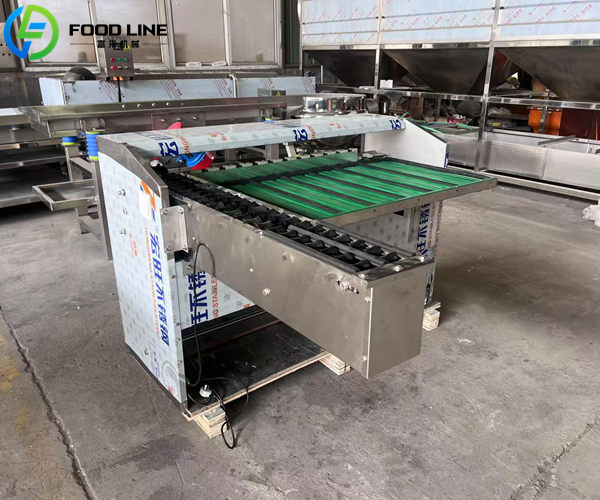 2 lane egg sorting machine price direct from factory