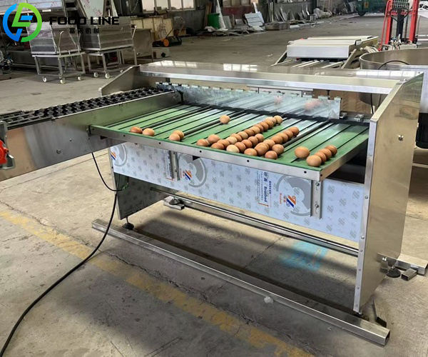 3 lane egg weight grading machine for poultry farms