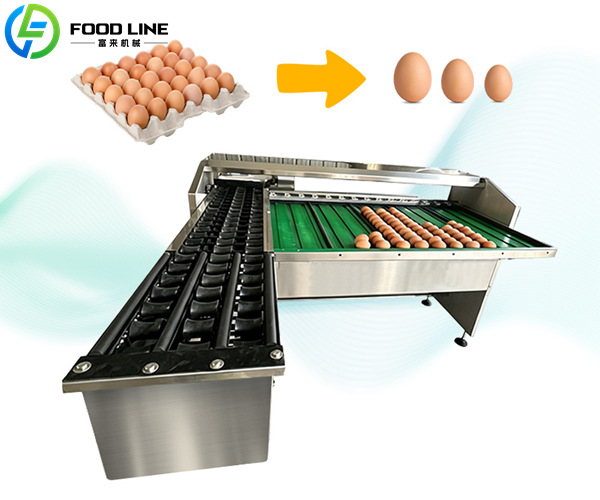 automatic egg weight classification equipment