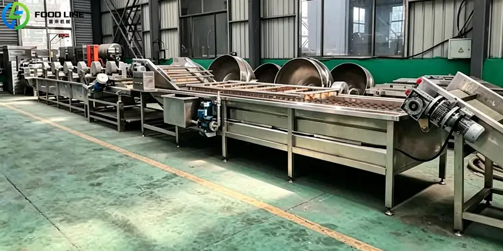 berry washing machine and drying machine
