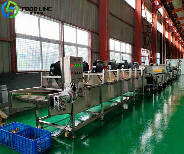 blueberry washing and air drying line equipment