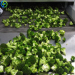 IQF Freezer: How Individual Quick Freezing Improves Food Quality broccoli after individual quick freezing