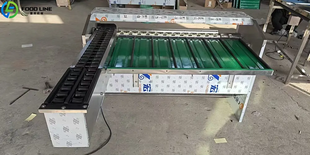 double lane egg weight grading machine for egg processing plants