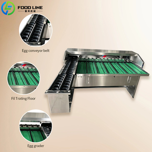 egg grading equipment with multi lane infeed conveyor