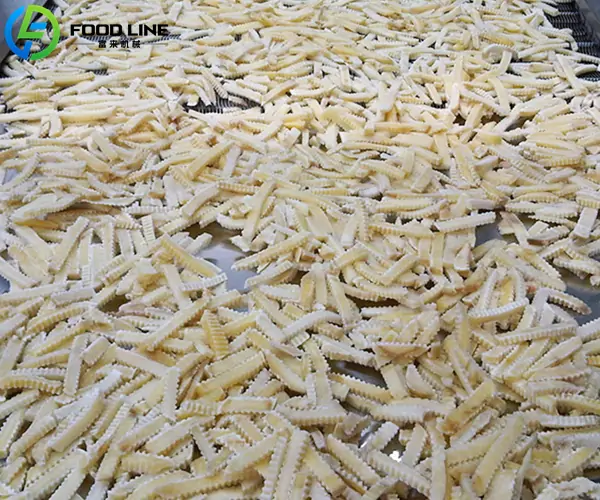 frozen french fries after iqf processing