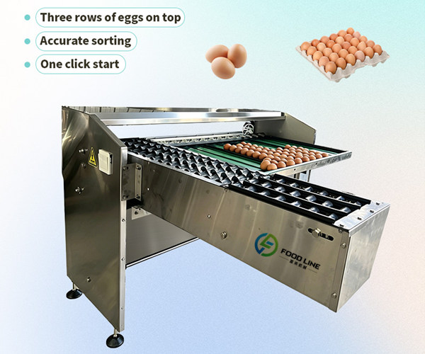high capacity egg classification machine